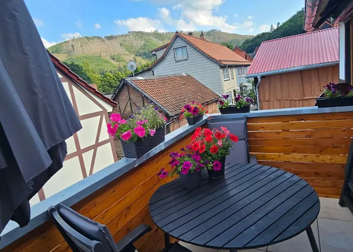 Zu Den Ilsefaellen Ii Apartamento